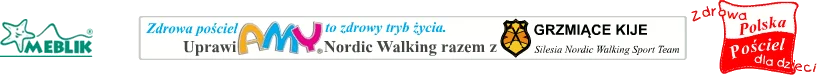 Zdjęcie z galerii